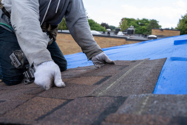 Best Roof Restoration Services  in Branford Center, CT