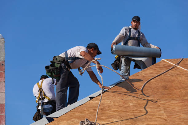 Best Roof Gutter Cleaning  in Branford Center, CT