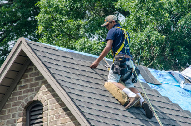 Best Roof Gutter Cleaning  in Branford Center, CT